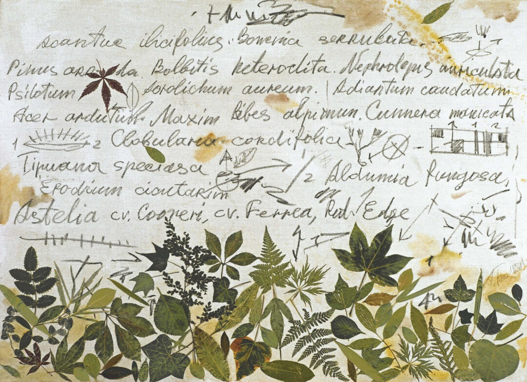 Анатолий Белкин. "Прозрачная латынь". 2003 год