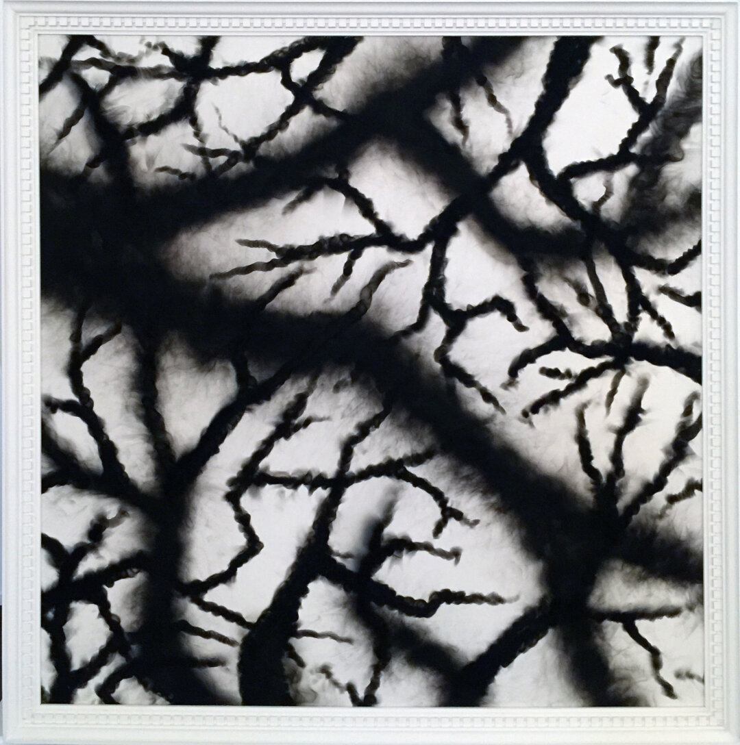 0331c, "Ветви". 2017 год