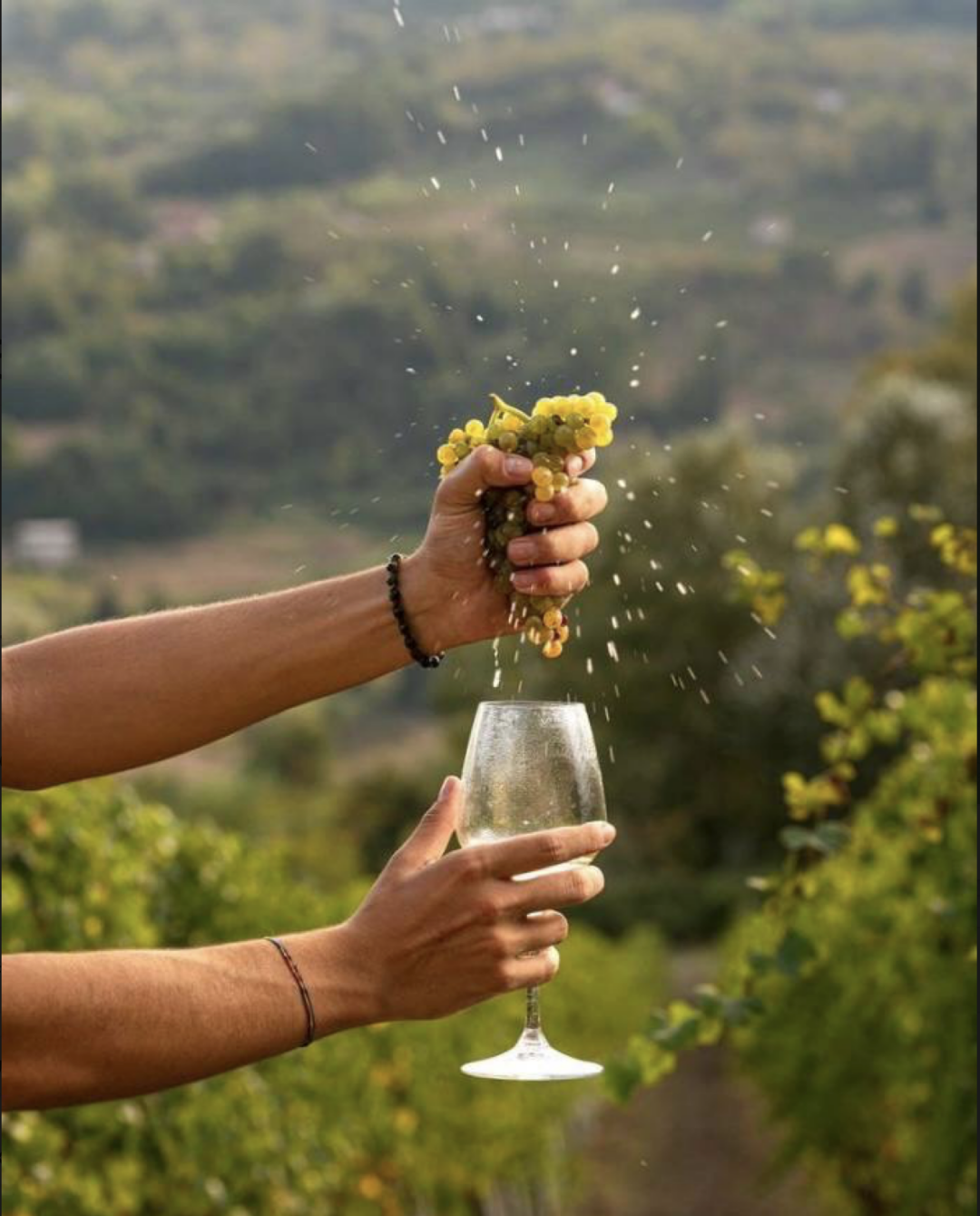 Гастрономический бутик Vinorio