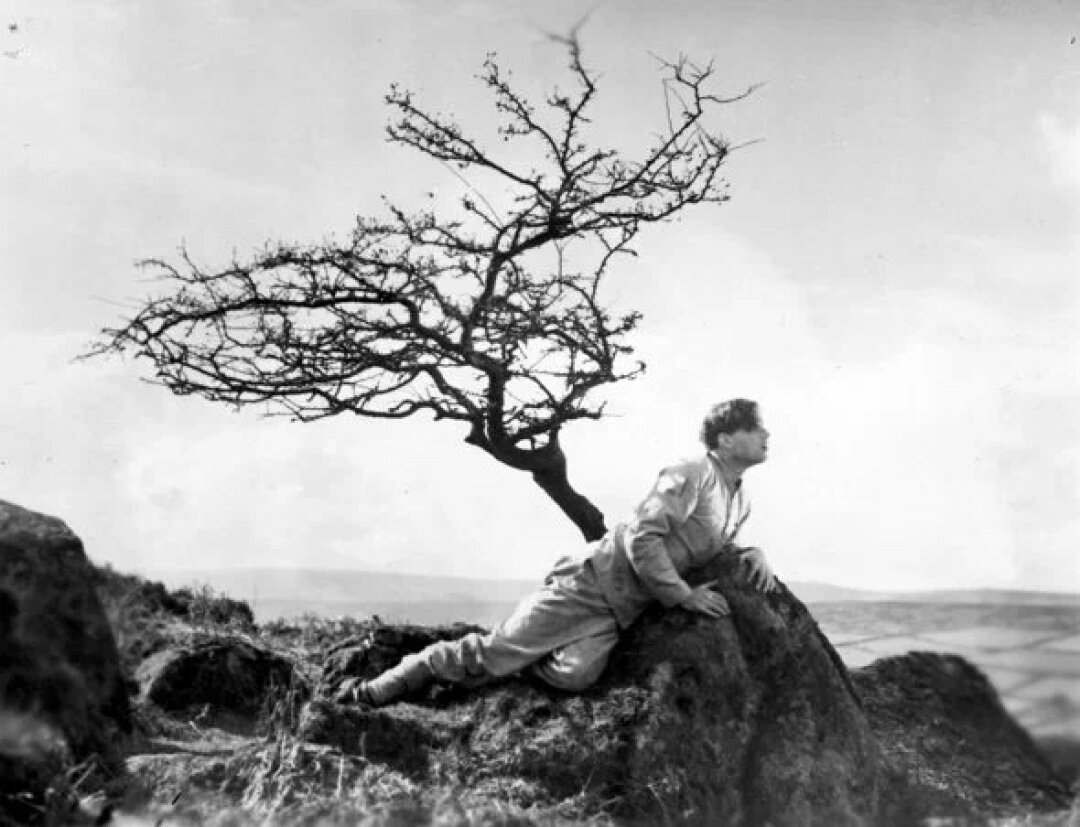 "Коттедж в Дартмуре"