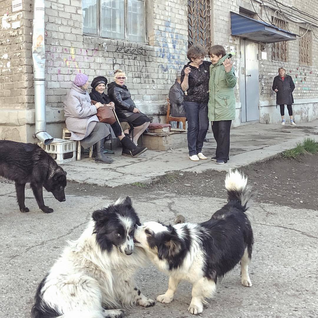 Фото Дмитрия Маркова из Кунгура