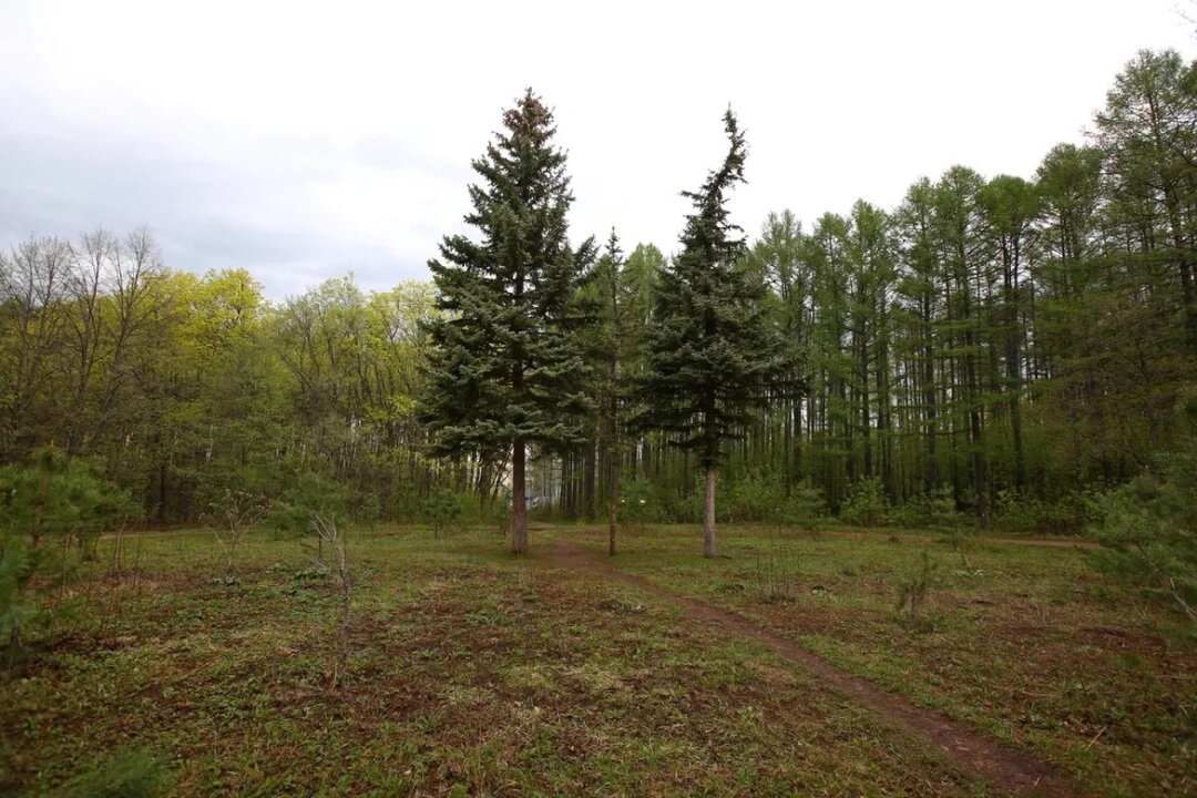 Фото опубликовал Ратмир Мавлиев