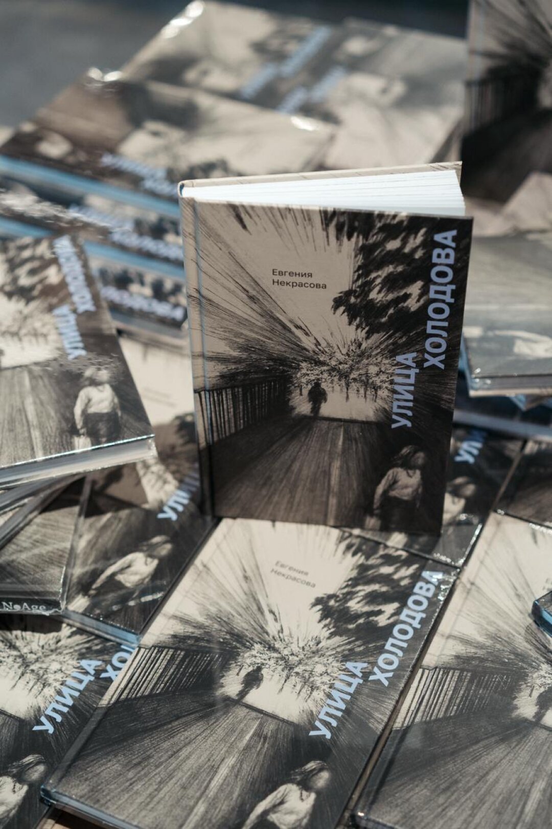 Презентация новой книги Евгении Некрасовой «Улица Холодова»