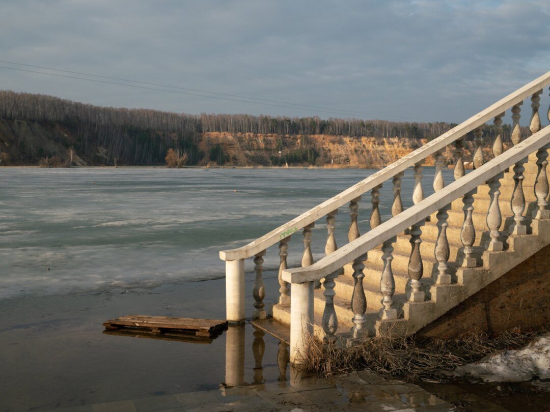 Александр Гронский