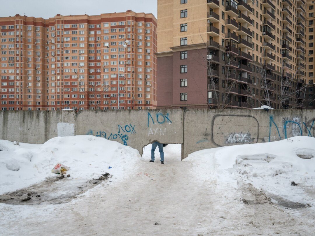 Александр Гронский