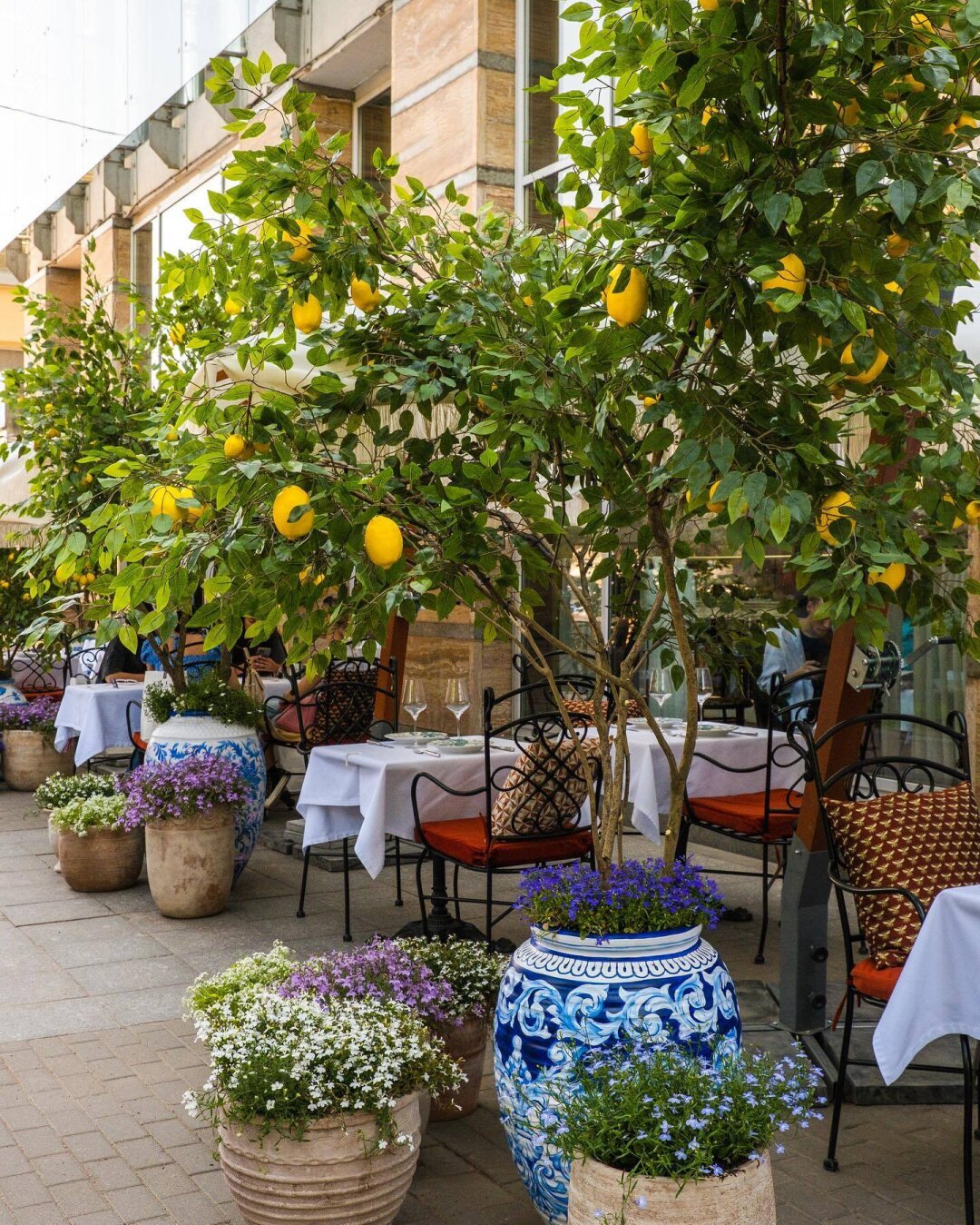 Mio Bistrot Итальянская la veranda: за гедонизм отвечает шеф Франческо Барбаро, за пейзаж — Казанский собор. ул. Казанская, 3А
