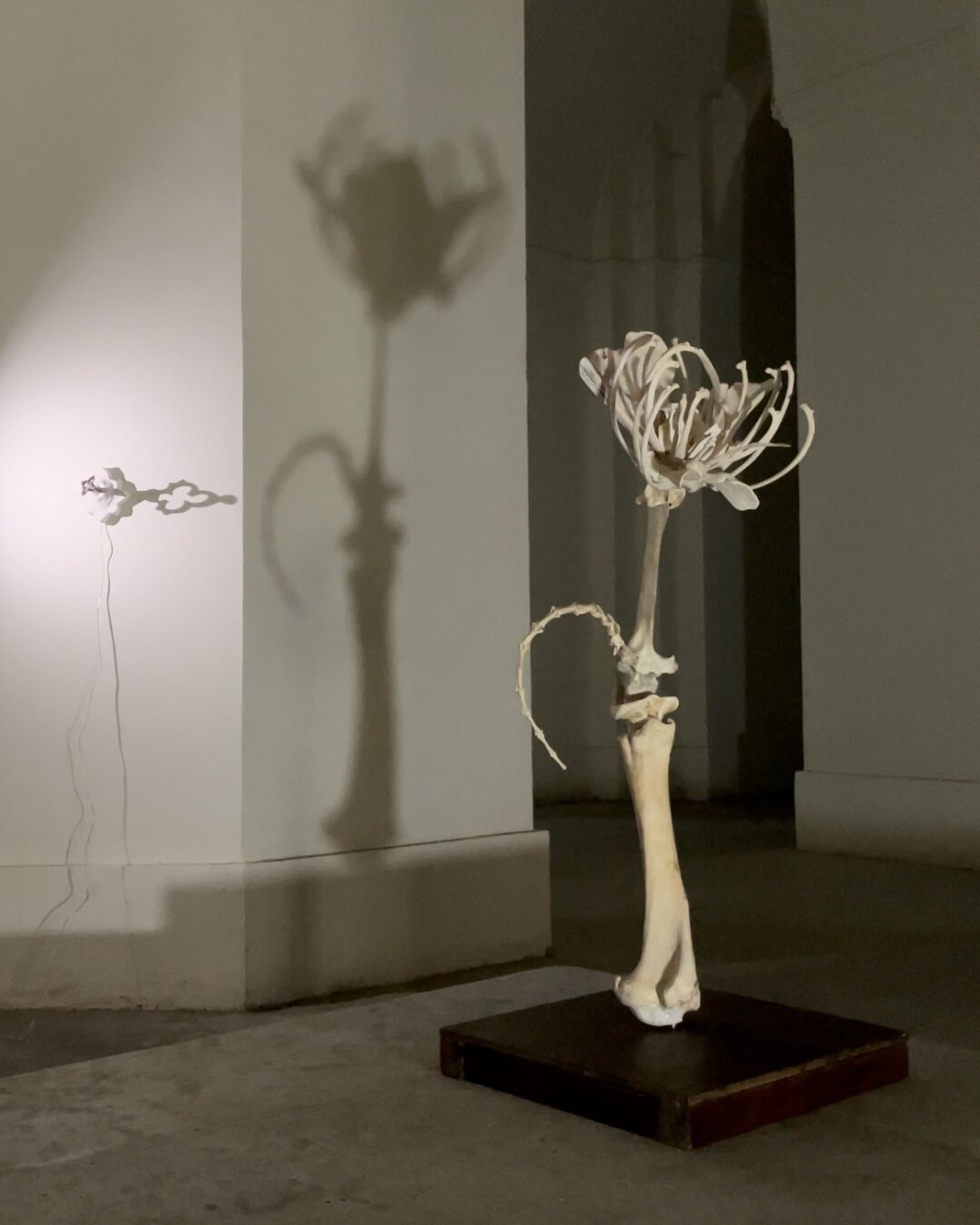 Аня Герасимова. "Хейти"