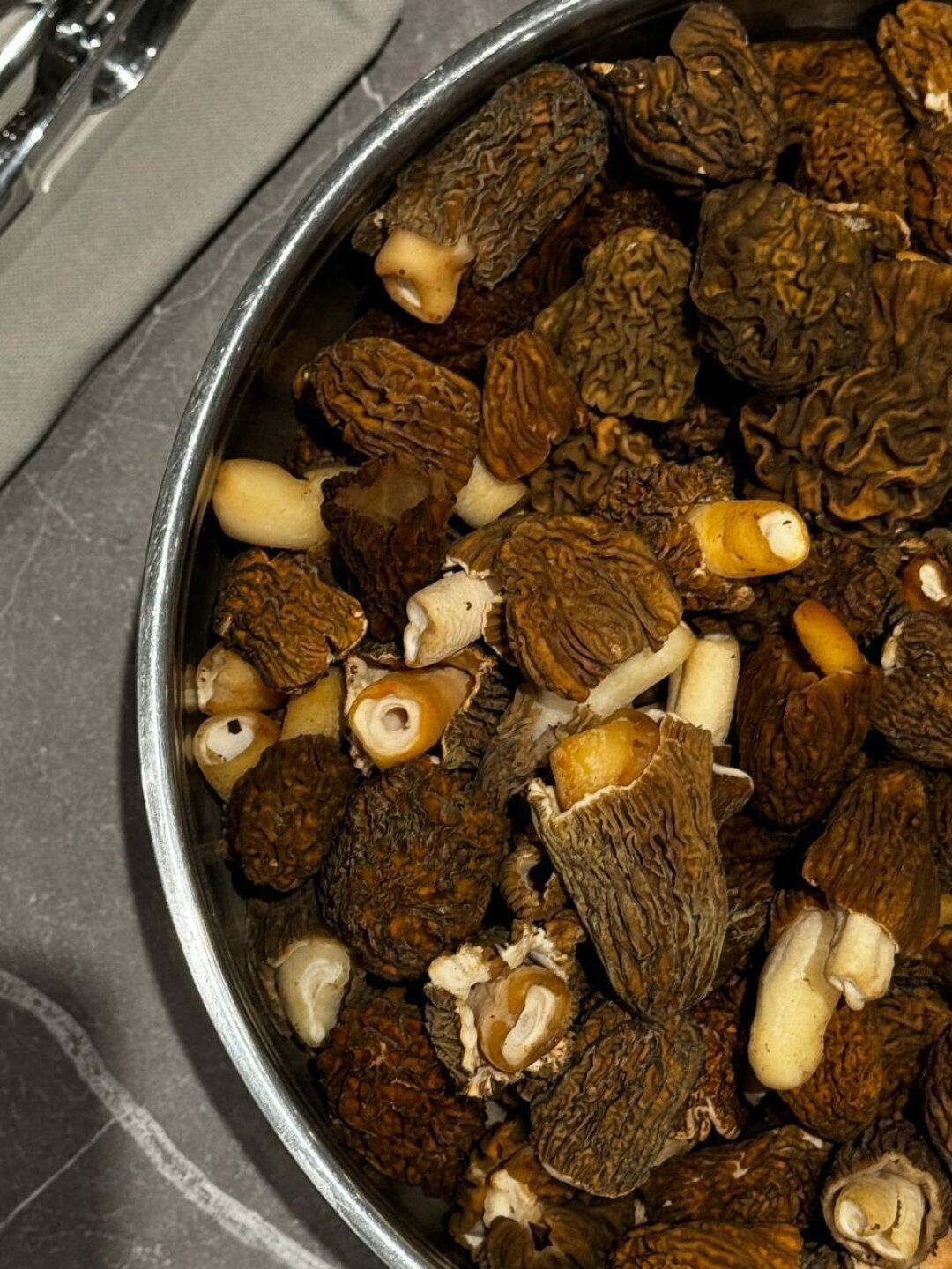 Сезон сморчков открыт в «Наири»