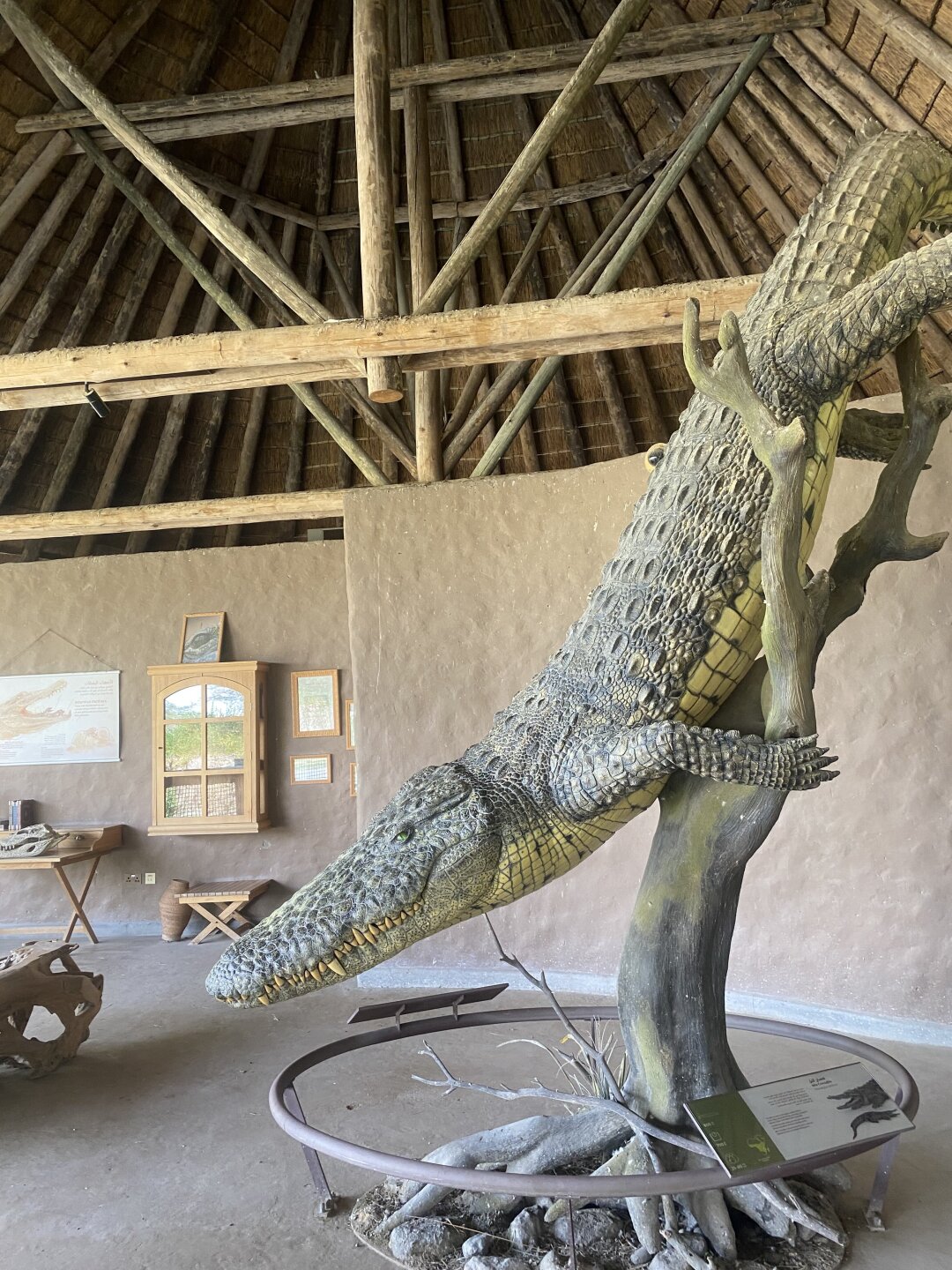 За несколько часов можно побывать в 12 африканских уголках