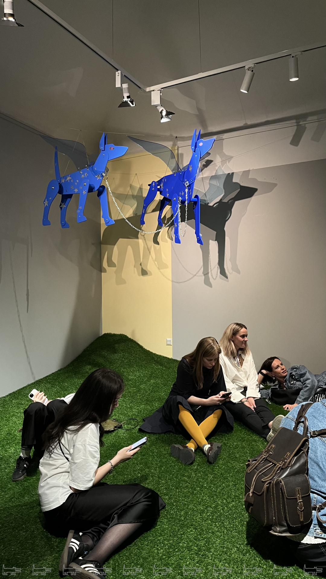 София Азархи «Созвездие гончих псов», 2025 год