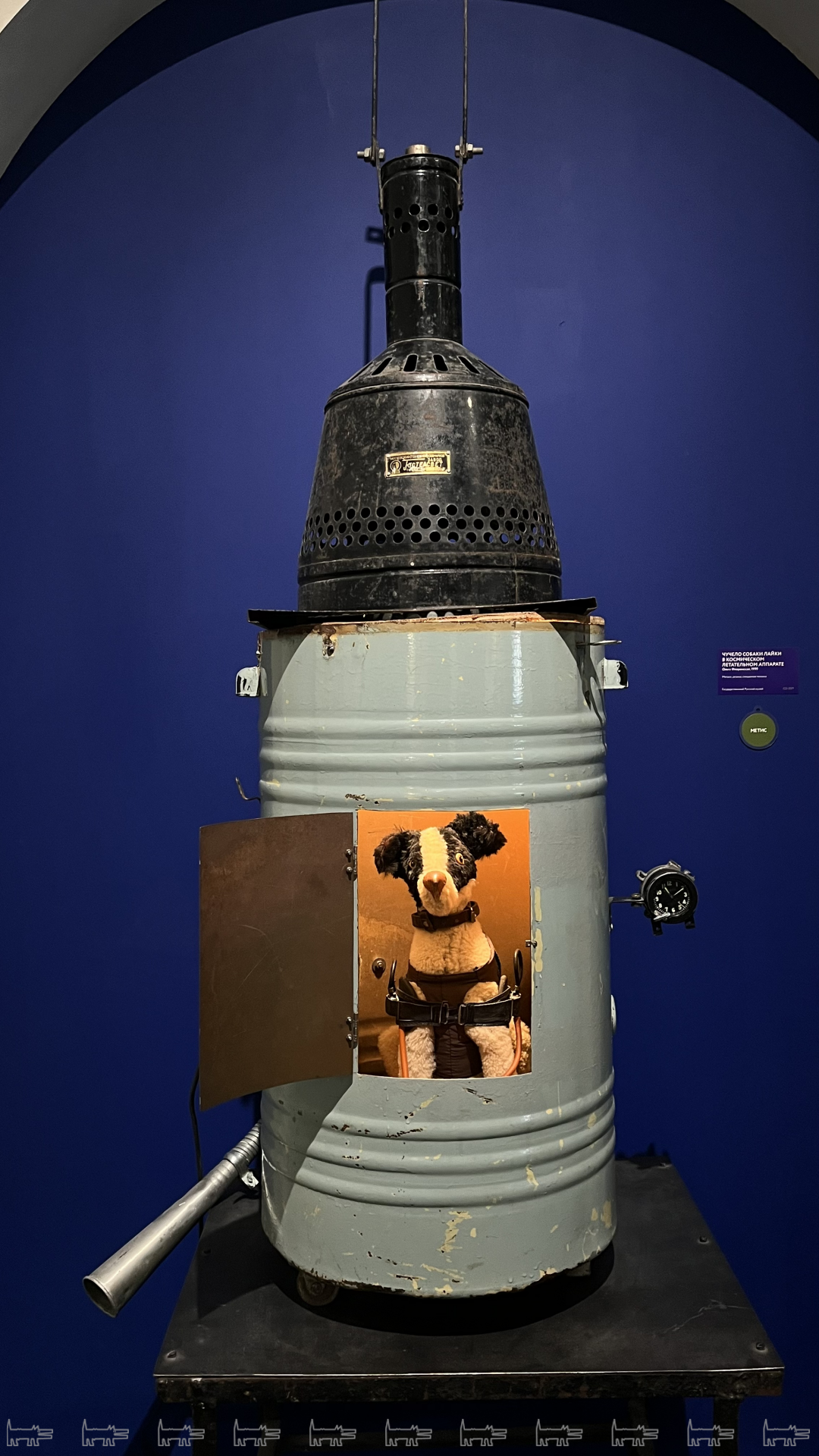 Ольга Флоренская «Чучело собаки Лайки в космическом летательном аппарате», 1999 год