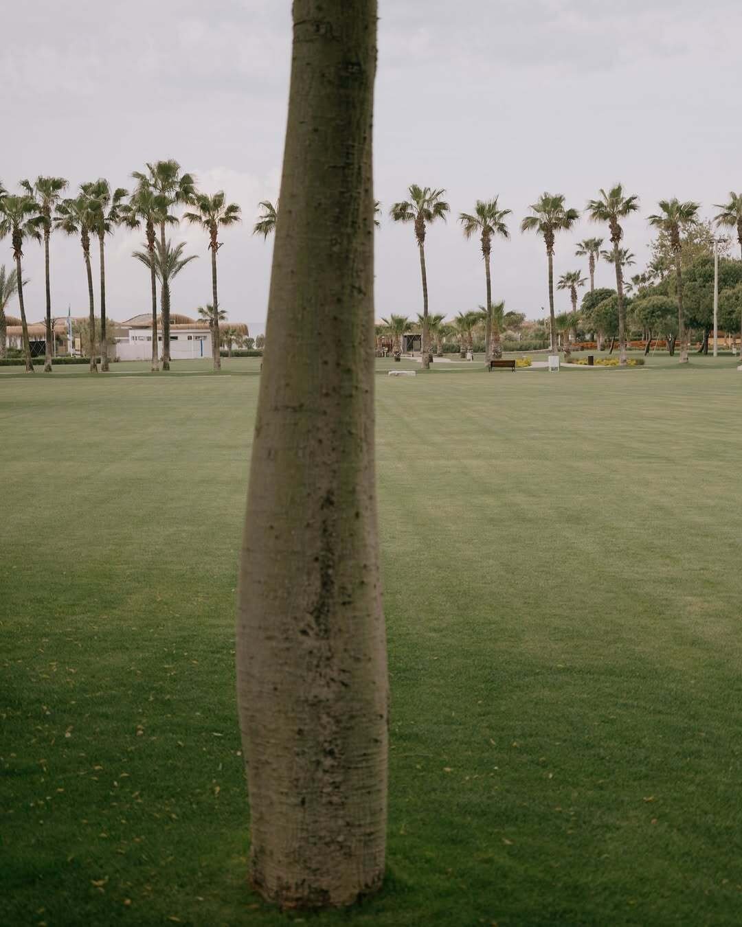 Bayou Villas Antalya. Фото: Евгений Шишкин