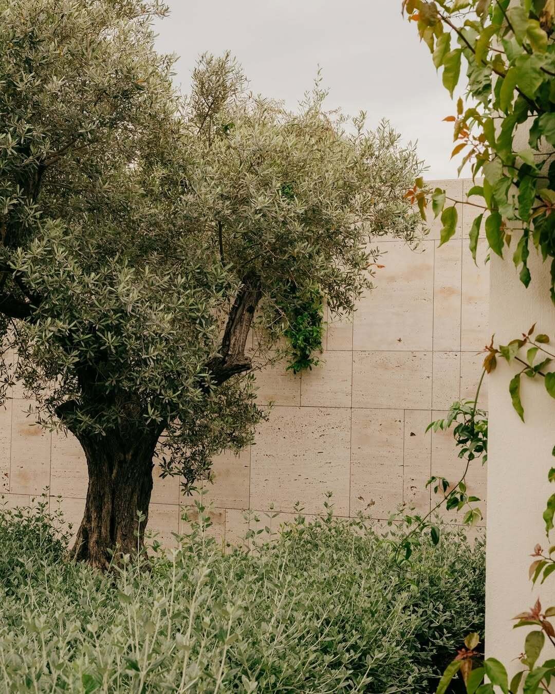 Bayou Villas Antalya. Фото: Евгений Шишкин