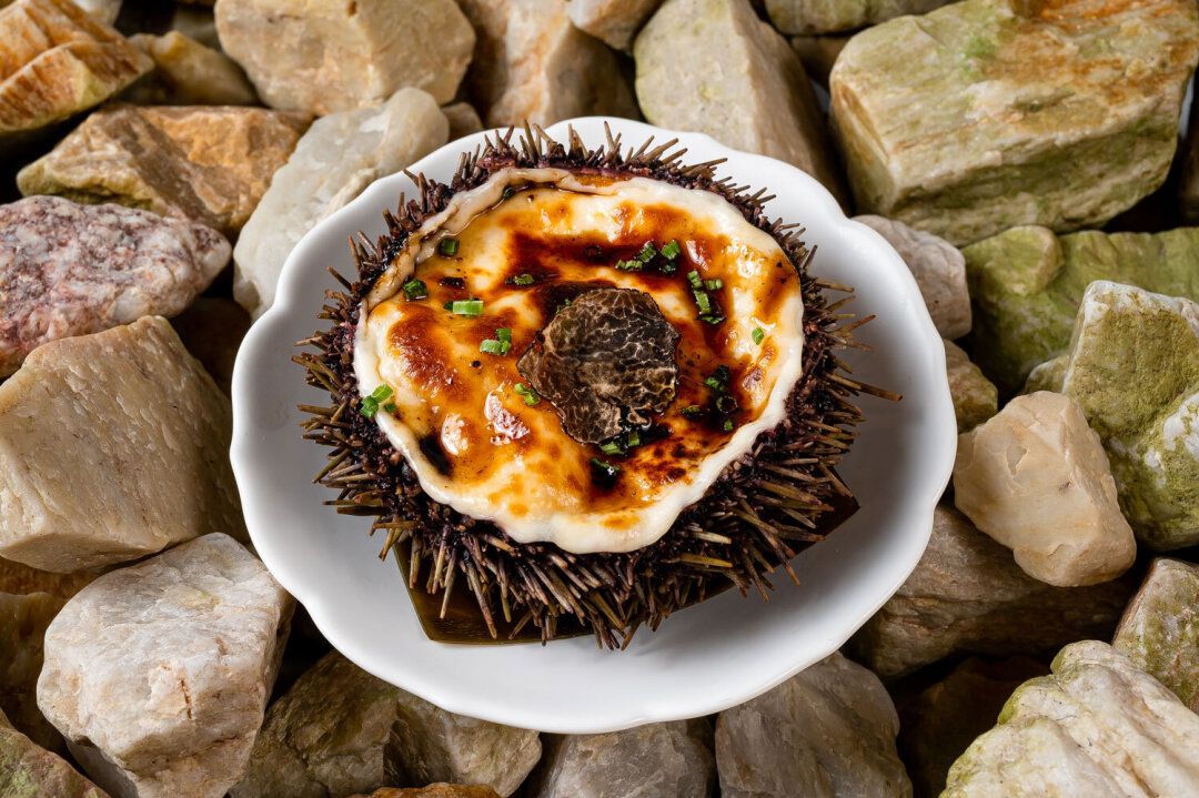 Фирменное блюдо Алексея — запеченный морской еж. Его шеф запекает с муссом из выдержанного сыра, лангустином и трюфелем. А подает с соусом кабаяки
