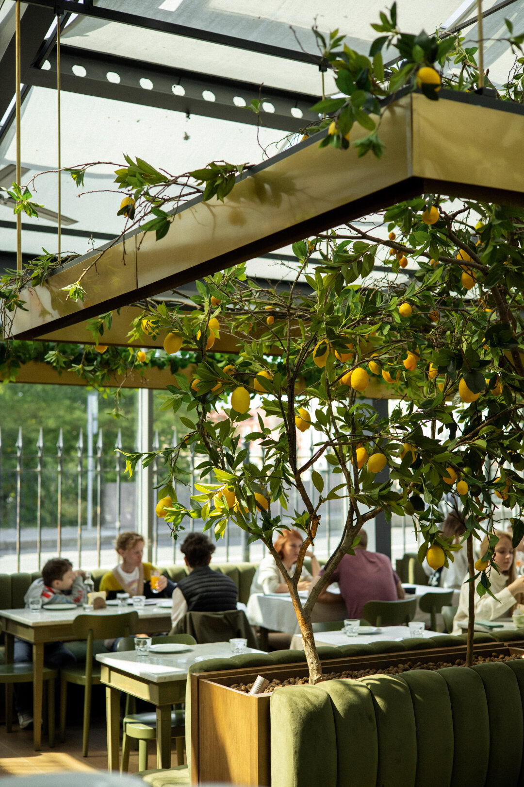 Всесезонная веранда Marso Polo с лимонными деревьями и тосканским камином собрала фулл-хаус: вокруг — Михайловский сад, Марсово поле, Спас на Крови и