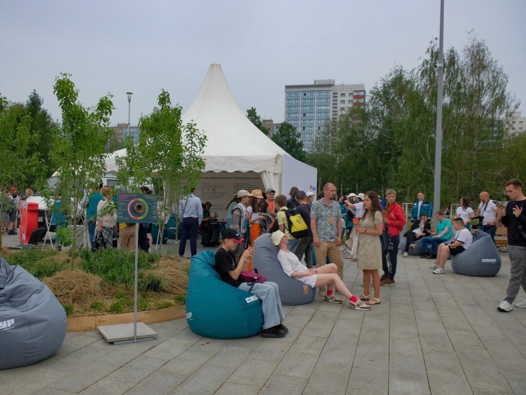 «Природа города»