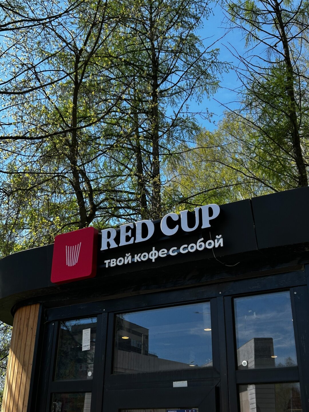 Red Cup в лесу