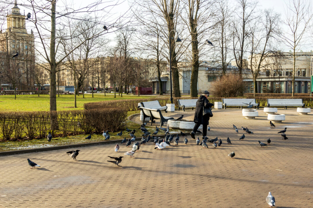 Вестибюль станции «Парк Победы», вид сзади