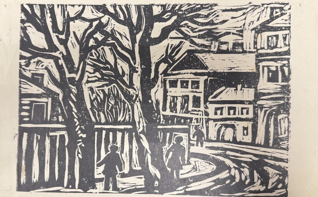 Владимир Шагин