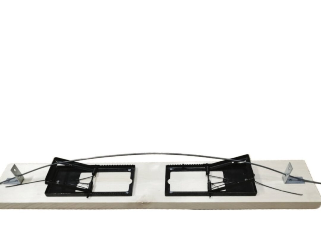 Владимир Козин. "Сон в Белую Ночь". 2025. Дерево, металл.