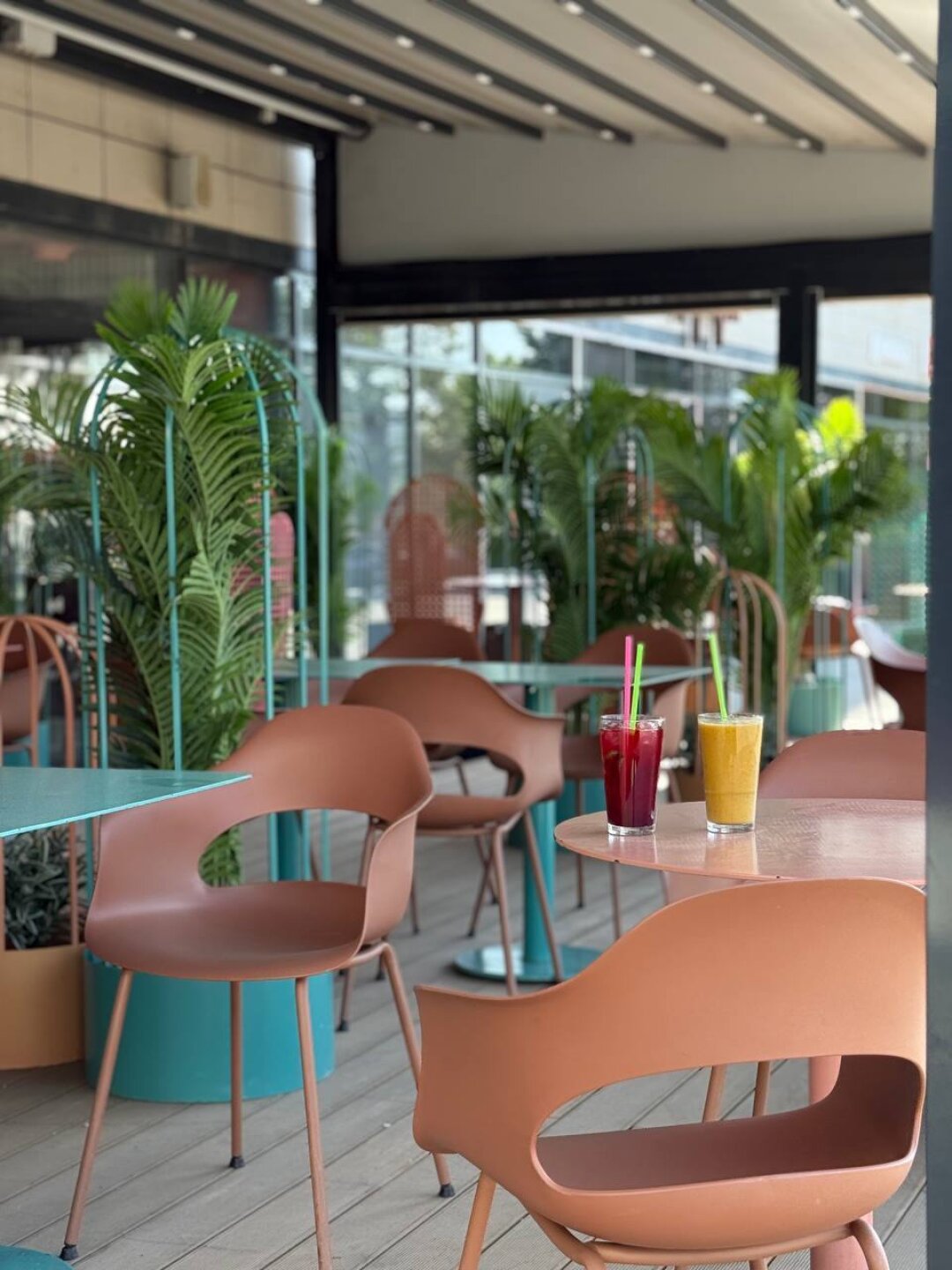 «Ранние пташки»