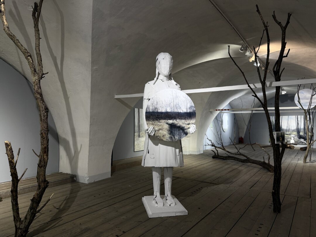 Егор Плотников, фрагмент экспозиции «Дальний лес», 2025.