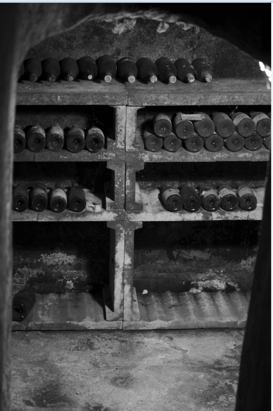 Павел Шинский, из серии «Виноделы. Старый Свет / Новый свет», 2022-2025.