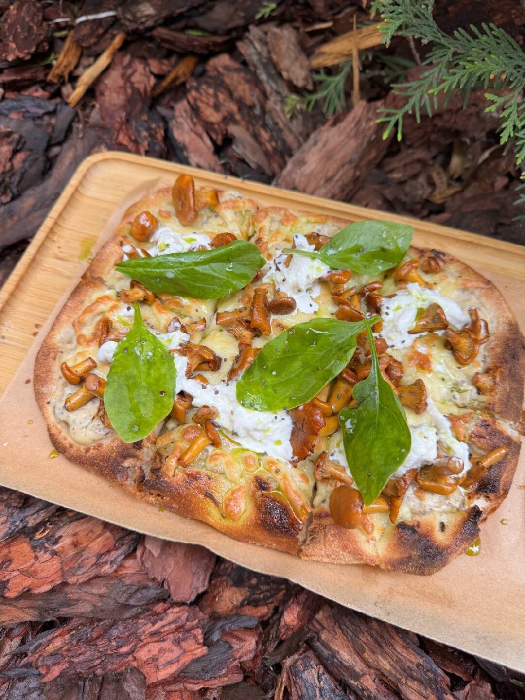 Пицца с лисичками от кафе «МАРКС»