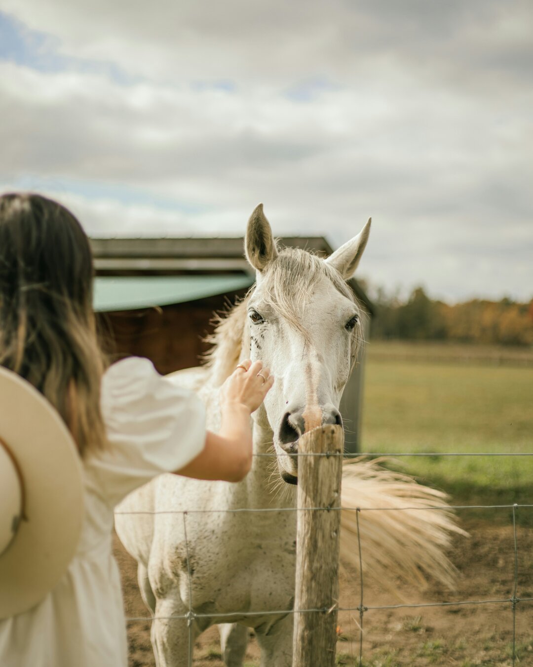 Общение с лошадьми снимает стресс