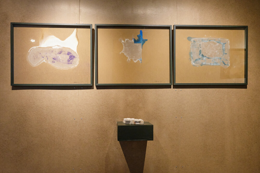 Вера Светлова. Фрагмент экспозиции «ДАФНИЯ»