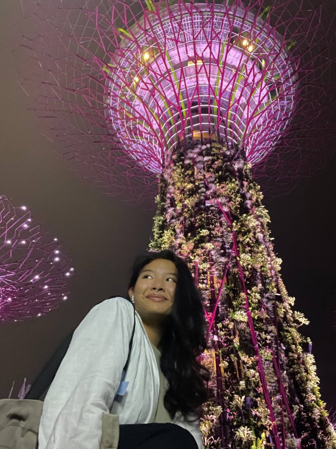 Сад деревьев, Сингапур