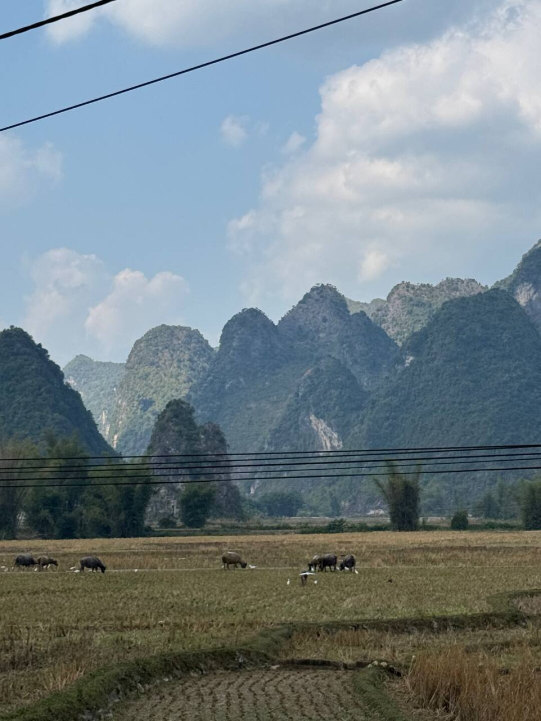 Провинция Као Банг, Вьетнам