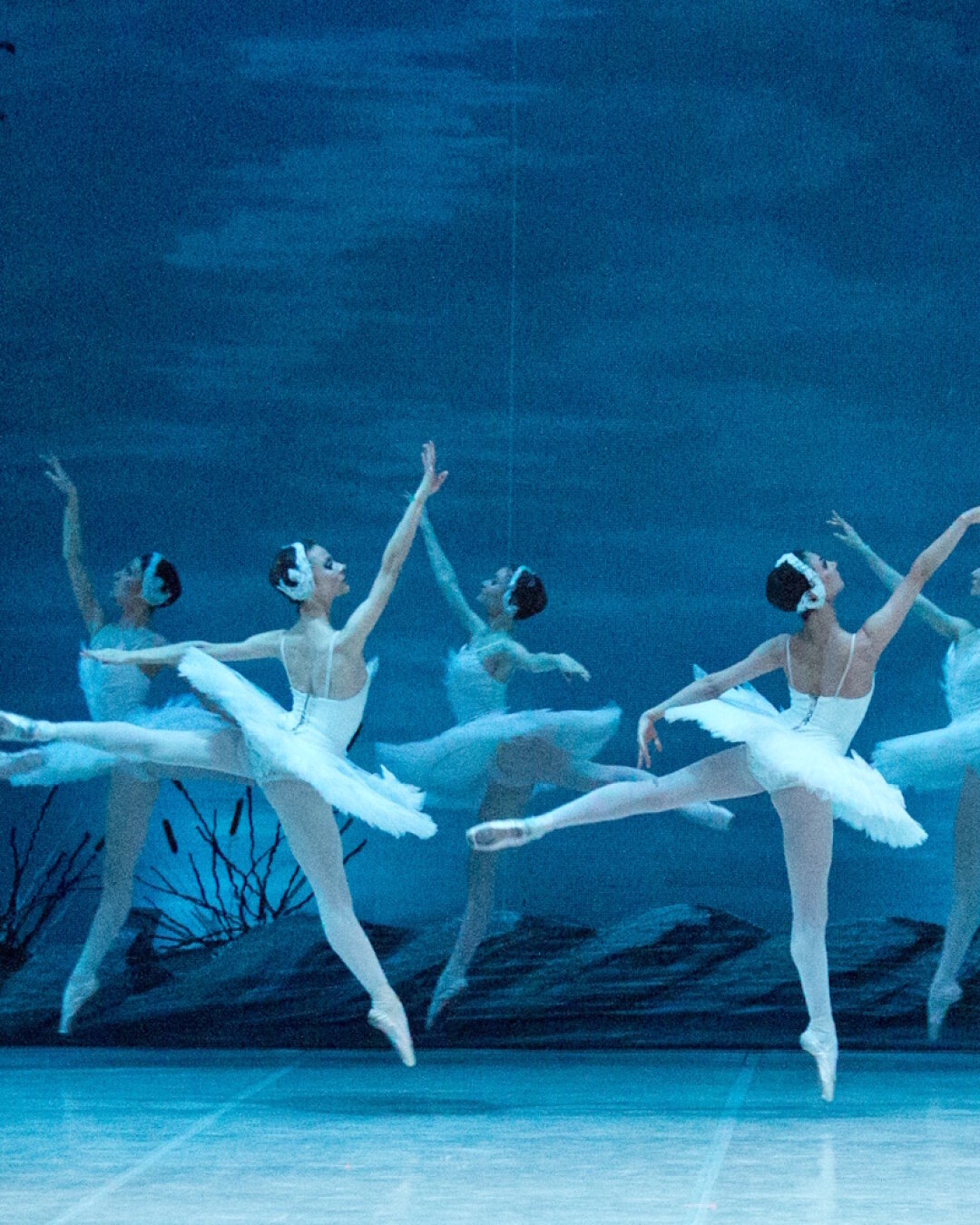 Спектакль "Лебединое озеро"