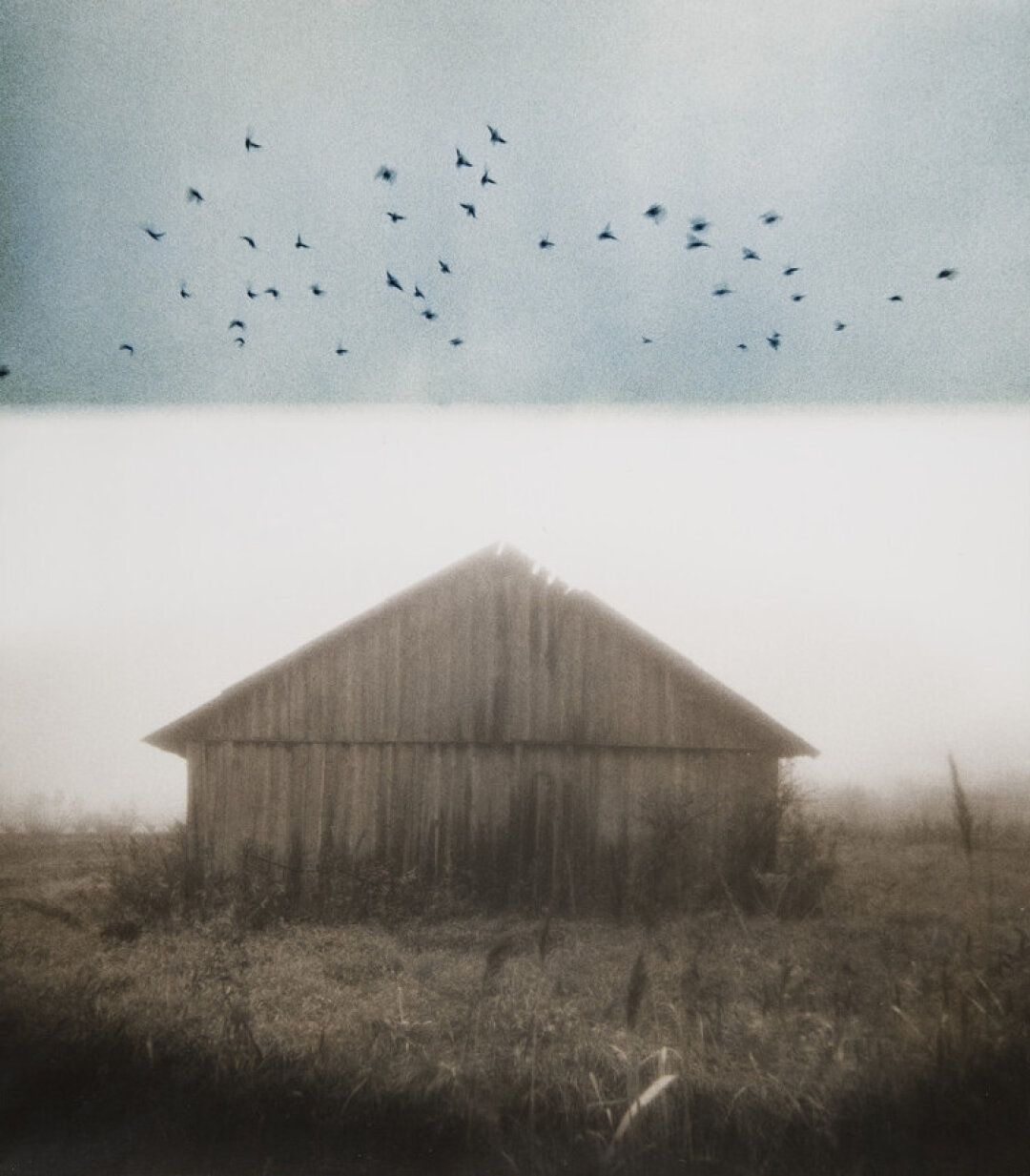 Виктор Ильин, "Земля и небо". Желатиносеребряный отпечаток, вирирование, 1994 год