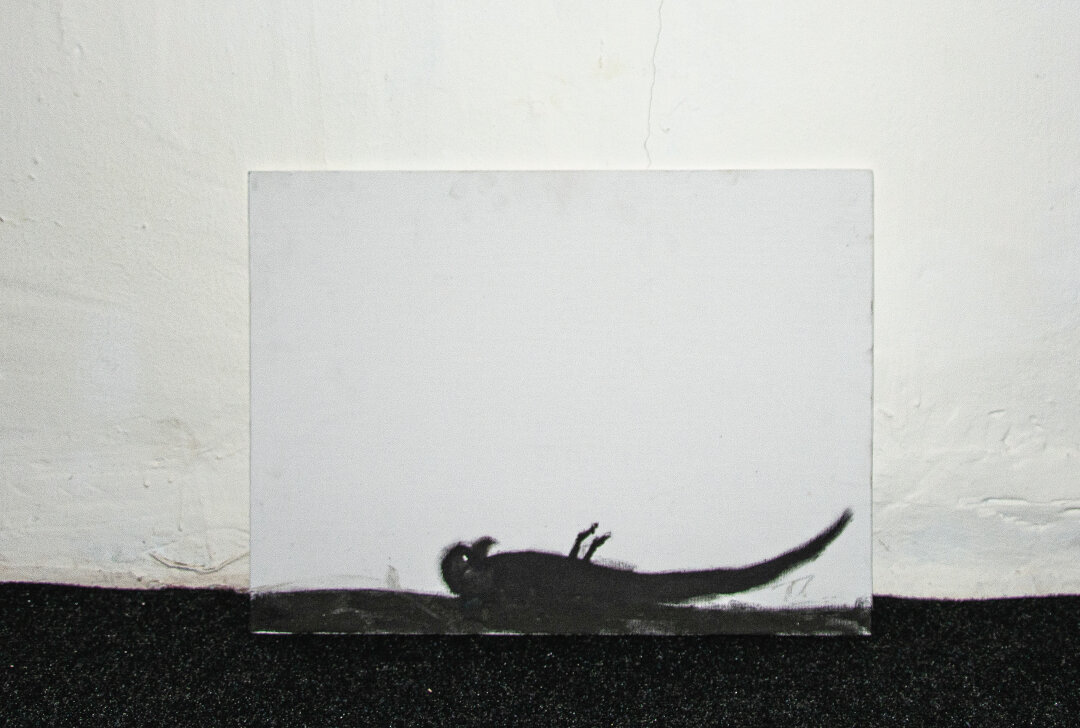 «Мертвый попугай»