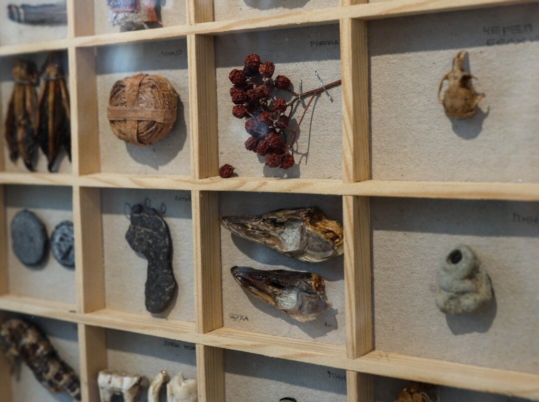 Экспозиция выставки «Люди леса»