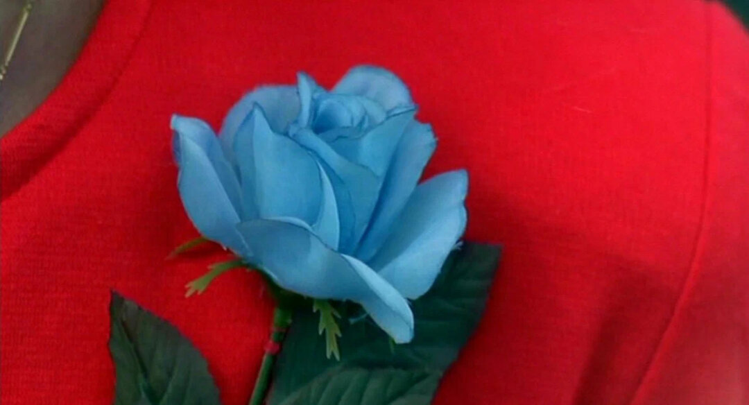 "Твин Пикс: Сквозь огонь"