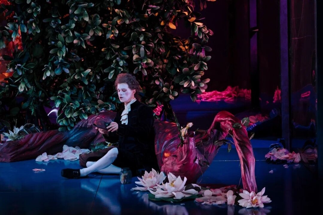 Похищение из Сераля