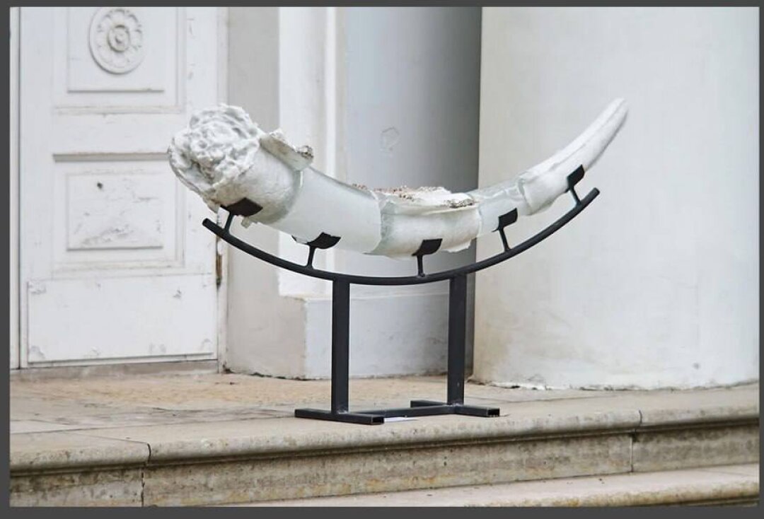 Nadulli, "Маммалиолит"