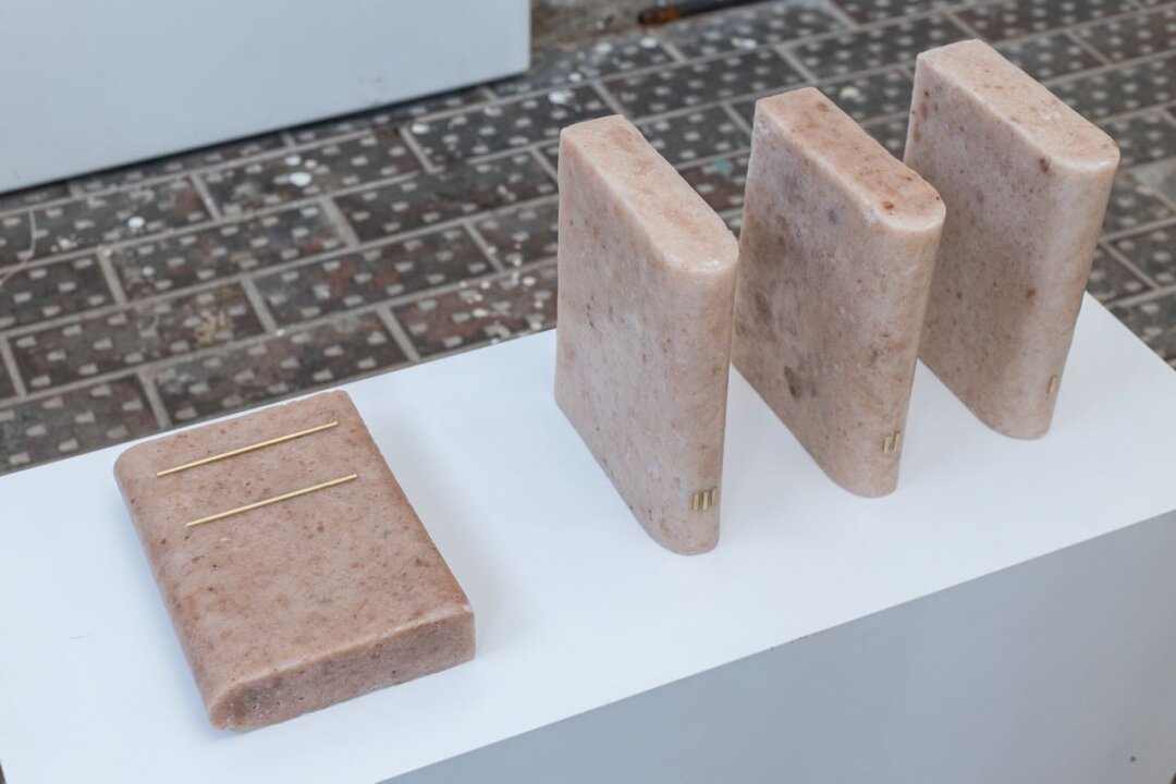 Алена Троицкая, "Безмолвные компаньоны"