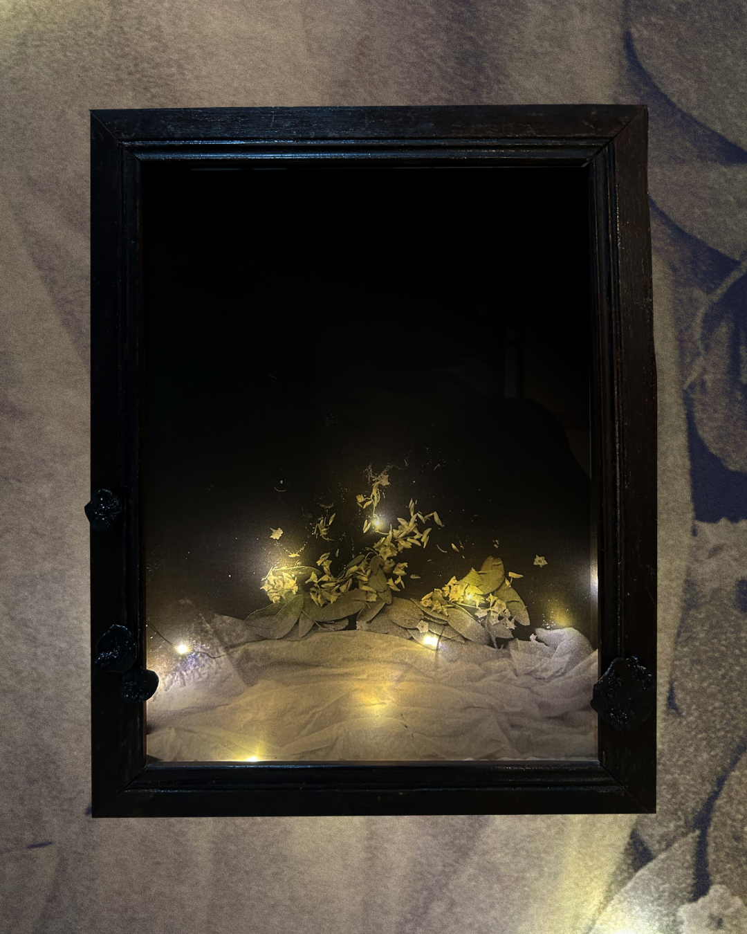 Анастасия Вакорина