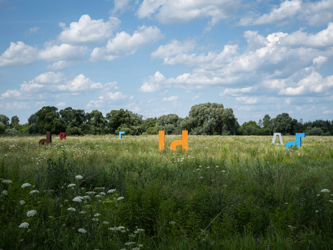 Александр Гронский. «Без названия». 2025