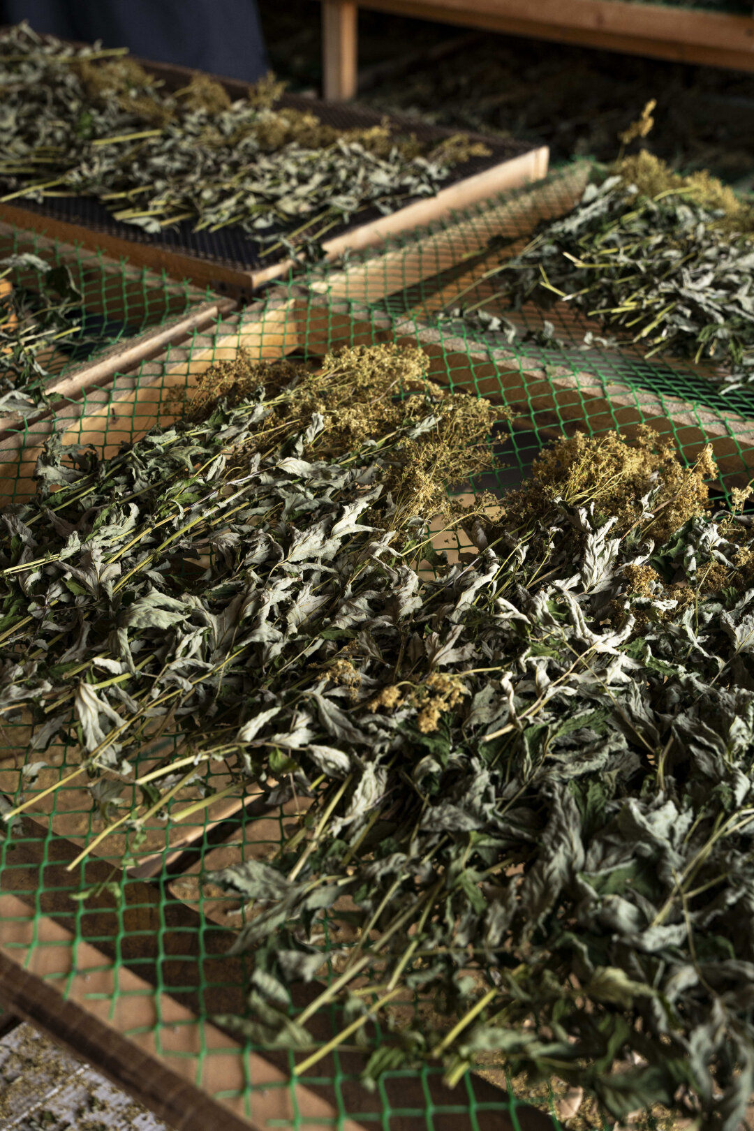 Сушильня Levrana