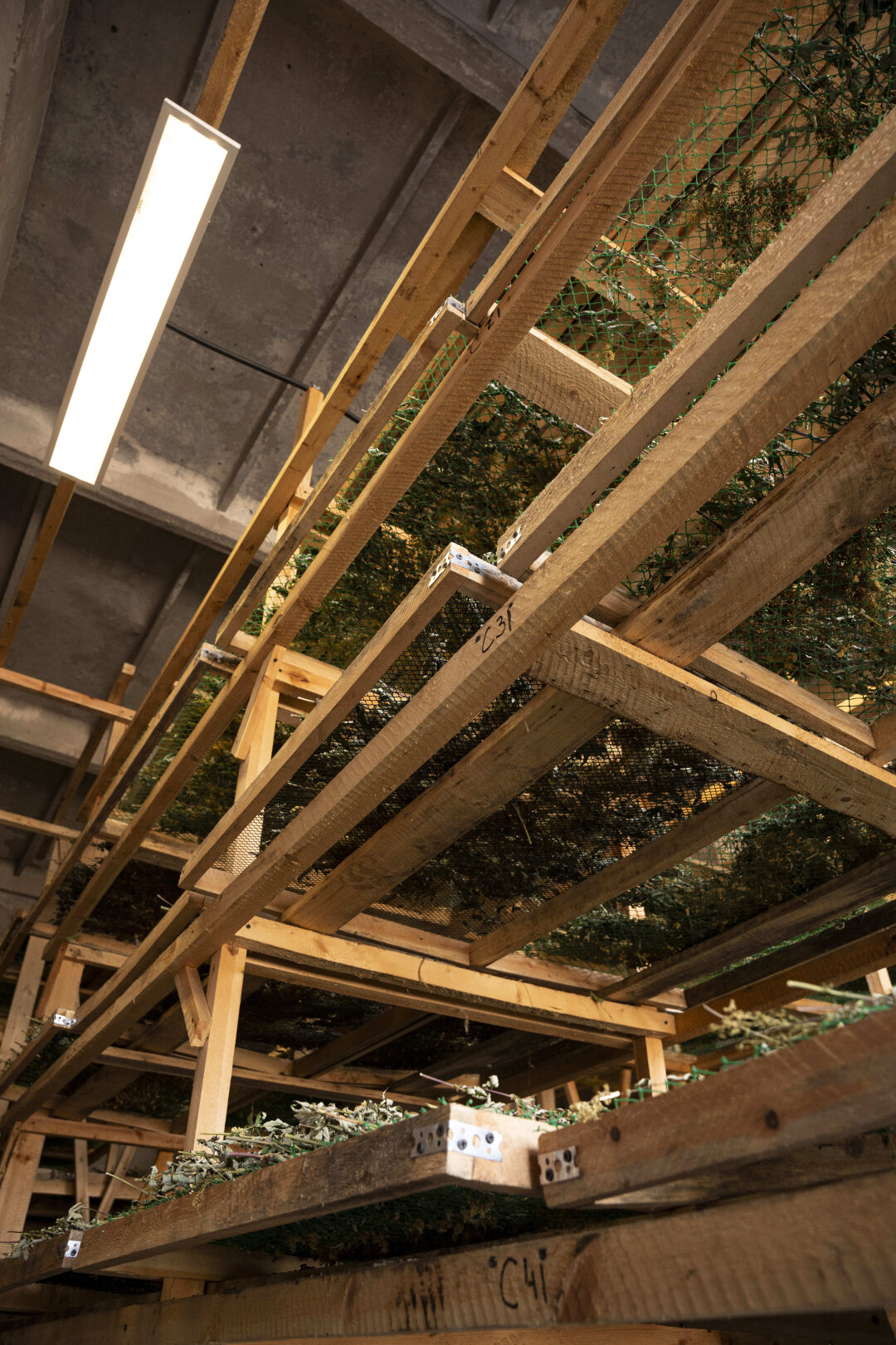 Сушильня Levrana