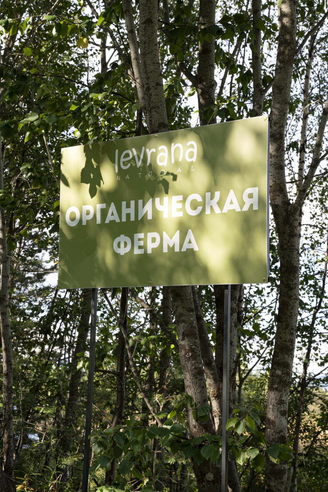 Всего у компании в Кандалакше 8 карт полей!