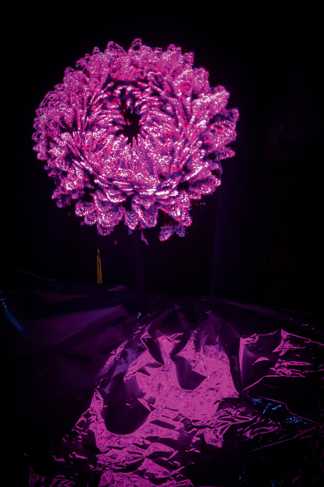 Даша Захарова (Dariella) «Цвет любви» / Love Blossom. Бутон 09. Из серии Time to Blossom. Генеративная графика, голограмма. 2024