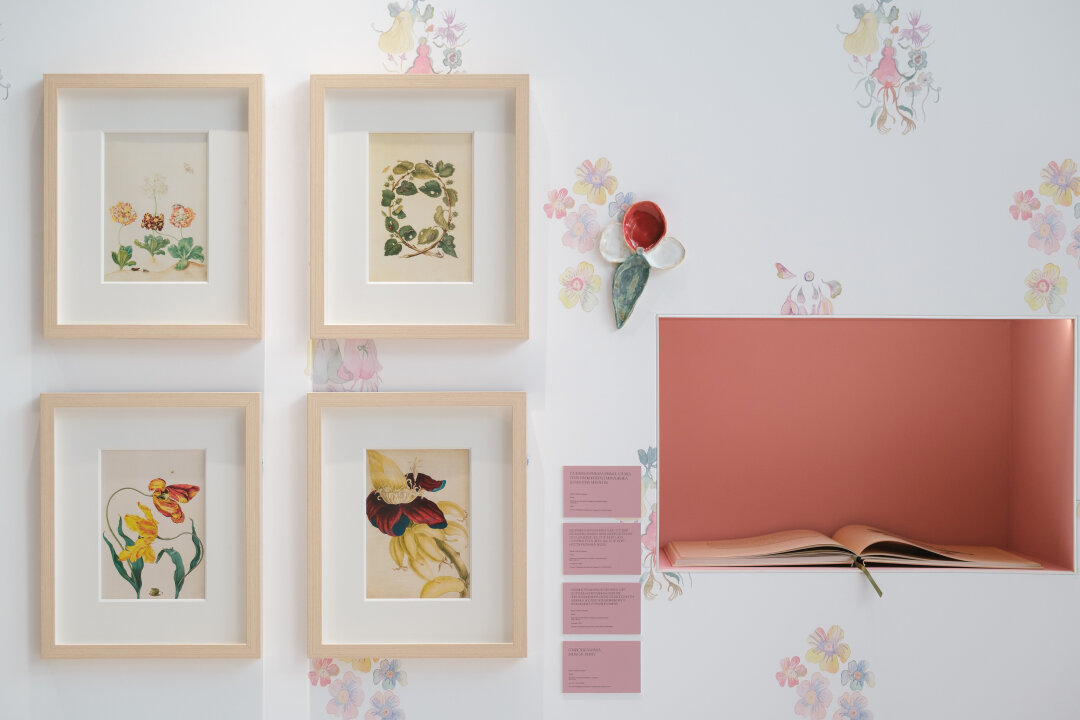 Выставка «Метаморфозы примулы» в Лахта Центре, 2025 год