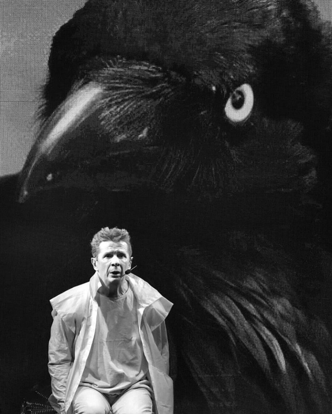 «Хрмс. Стрх»