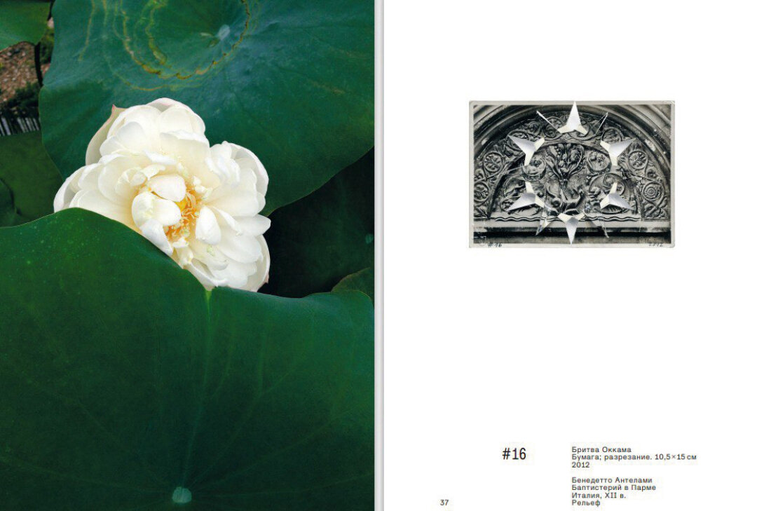 Разворот книги Виталия Пушницкого «Бритва Оккама» — первый релиз издательского проекта Дениса Химиляйне