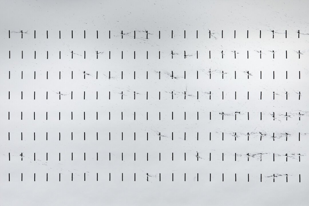 Евгения Тут. «1024». Бумага, тушь. 1,5×10 м. 2024